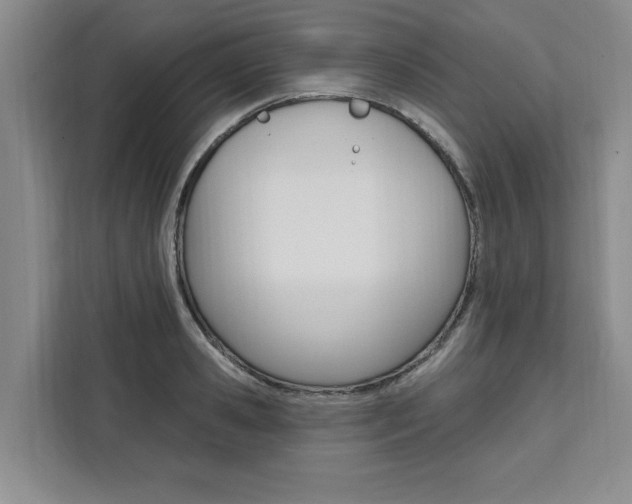 X0000111460941200907131215