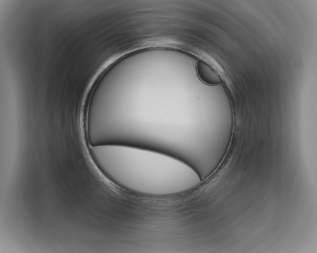 X0000111460947200907131215