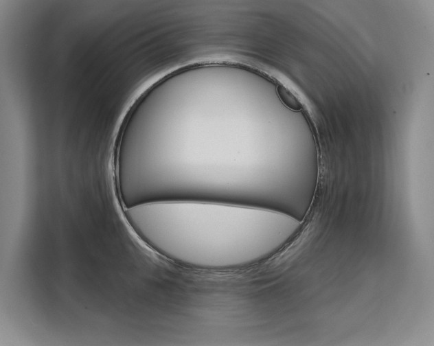 X0000111460951200907131215