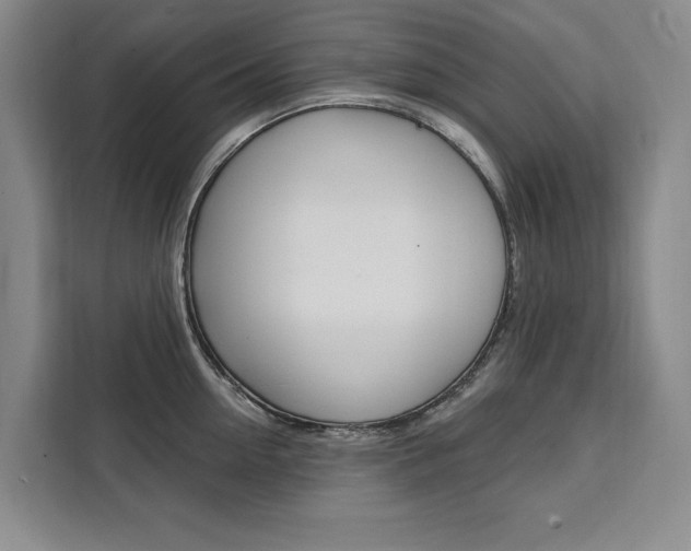 X0000111460954200907131215