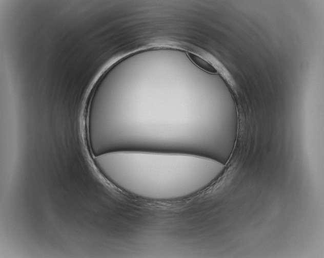 X0000111460955200907131215