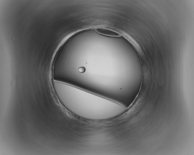 X0000111460956200907131215
