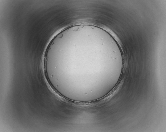 X0000111460957200907131215