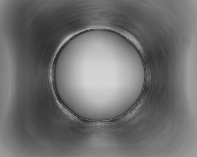 X0000111460958200907131215