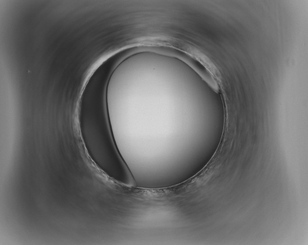 X0000111460960200907131215