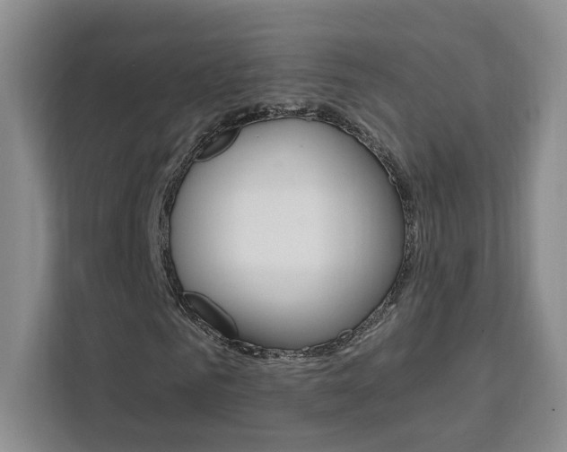 X0000111460961200907131215