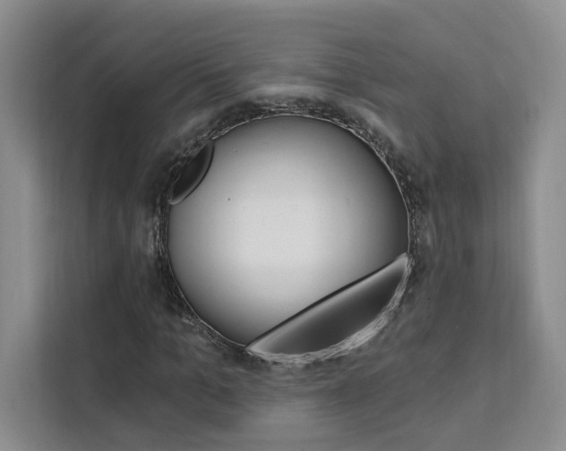 X0000111460965200907131215