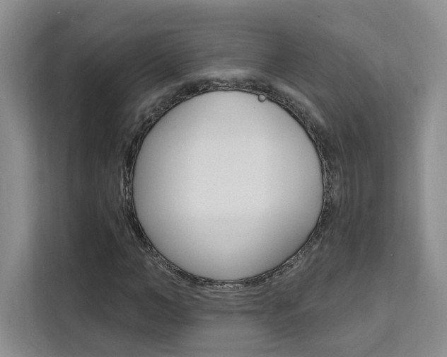 X0000111460966200907131215