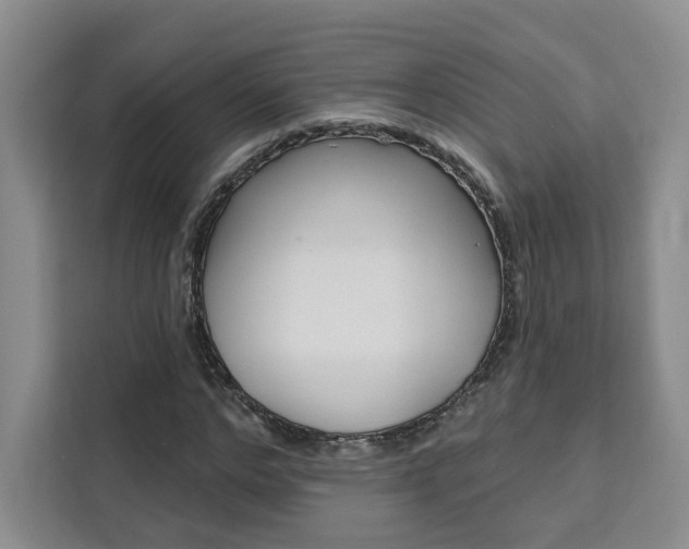 X0000111460968200907131215