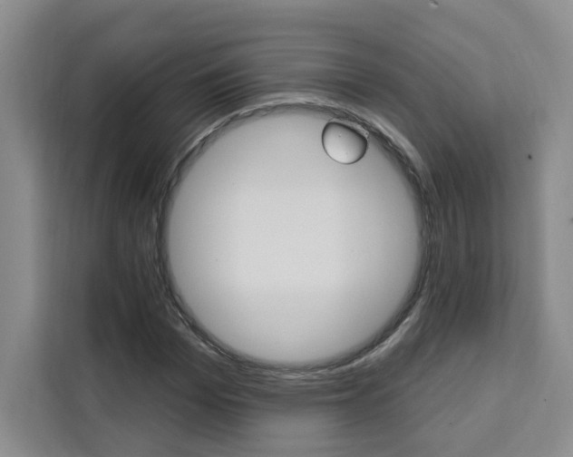 X0000111460969200907131215