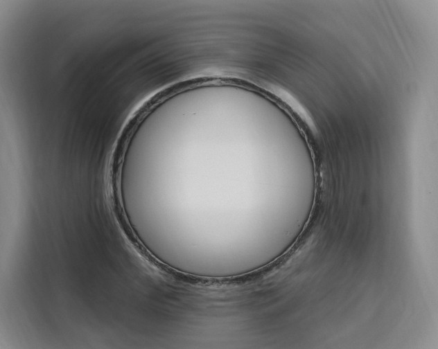 X0000111460972200907131215