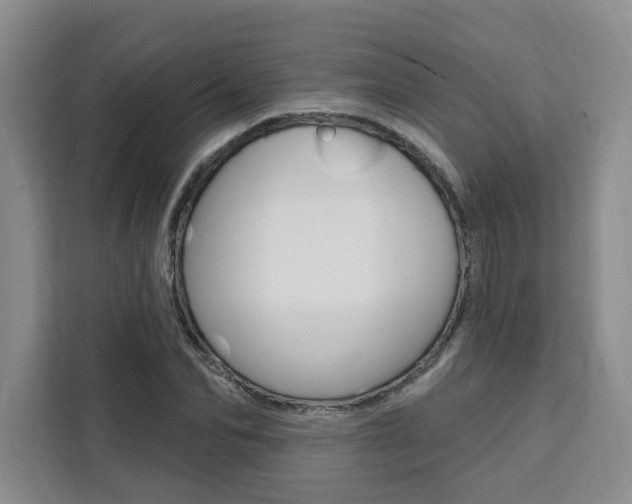 X0000111460974200907131215