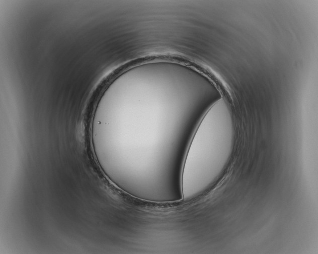 X0000111460975200907131215