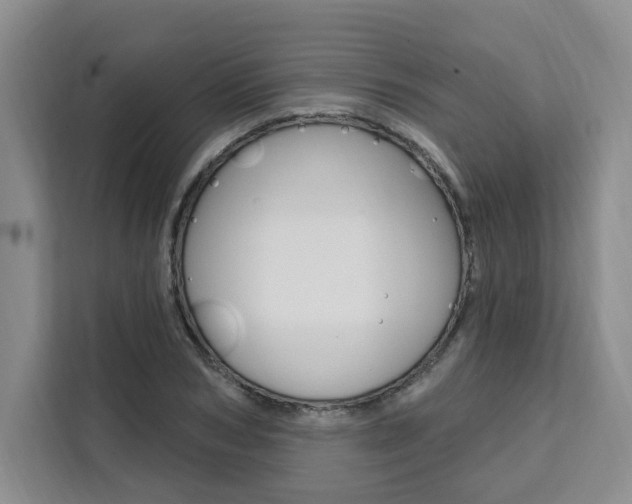 X0000111460978200907131215