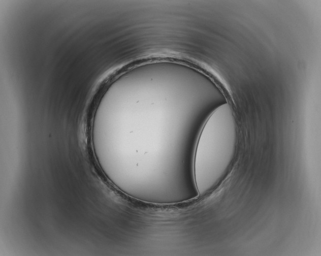 X0000111460979200907131215