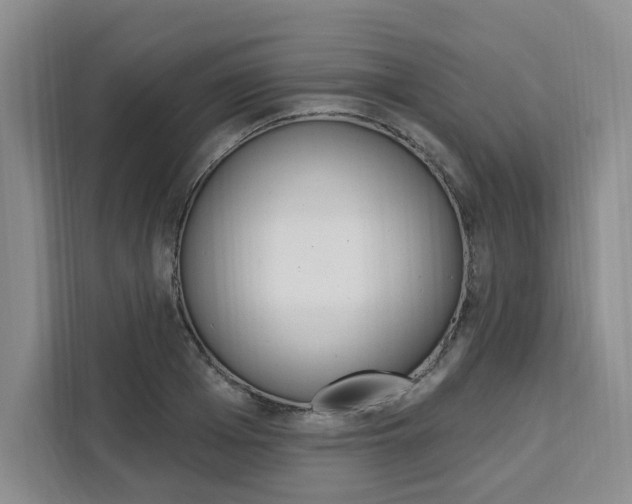 X0000111460985200907131214