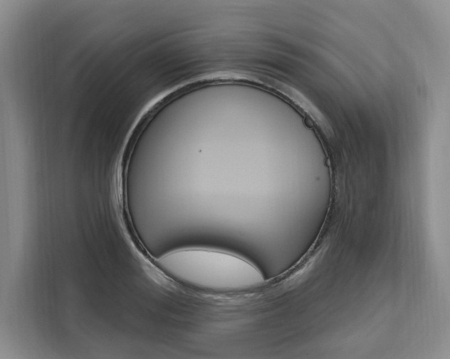 X0000111460988200907131214