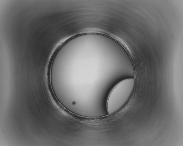 X0000111460995200907131214