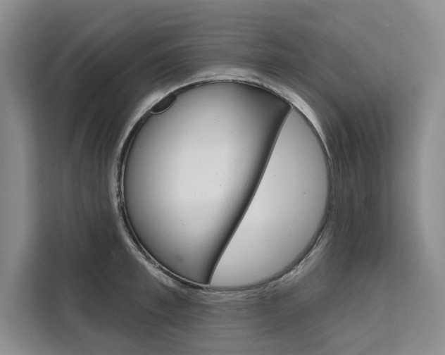 X0000111460997200907131214