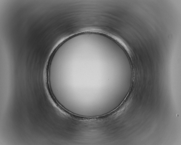 X0000111460999200907131214
