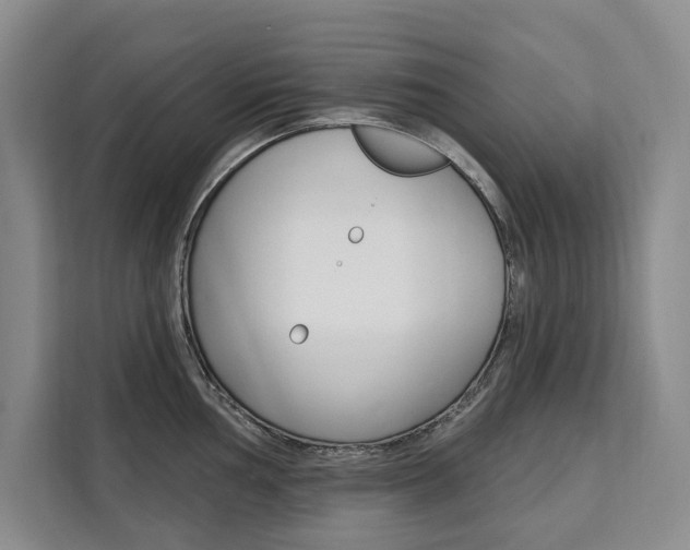 X0000111461002200907131214