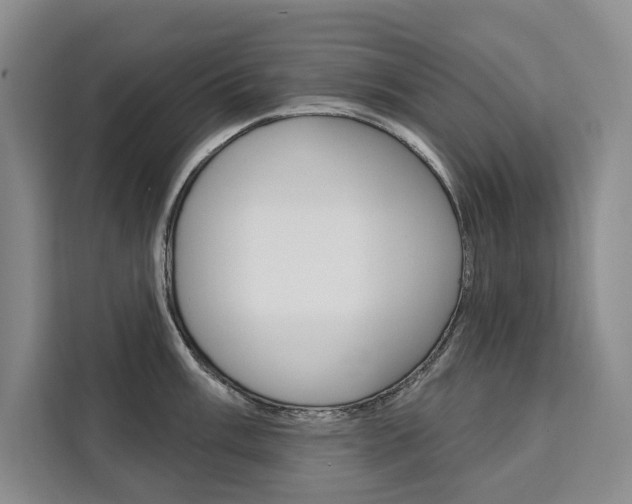 X0000111461003200907131214