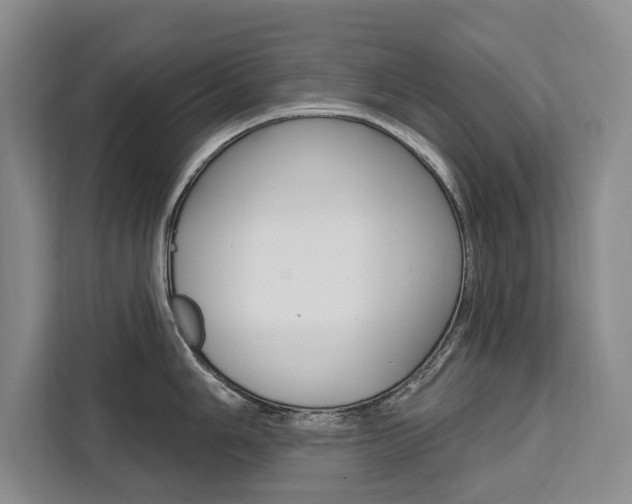 X0000111461006200907131214
