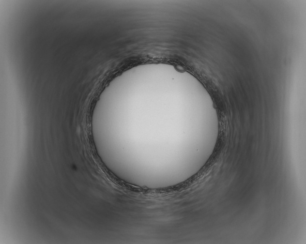 X0000111461009200907131214