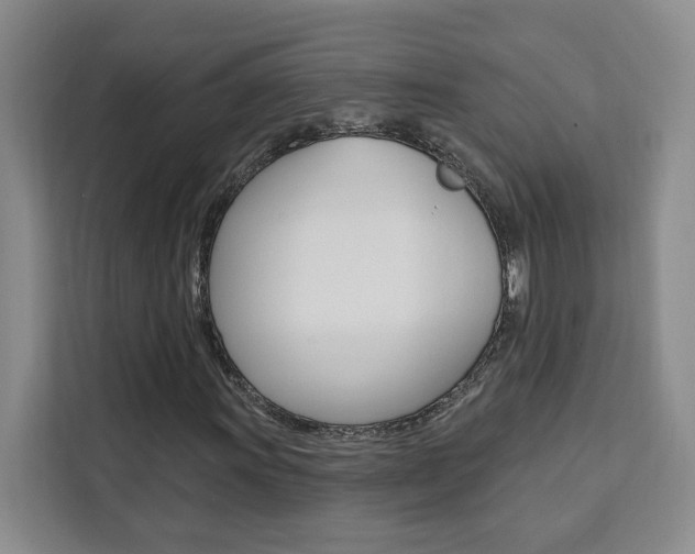 X0000111461011200907131214