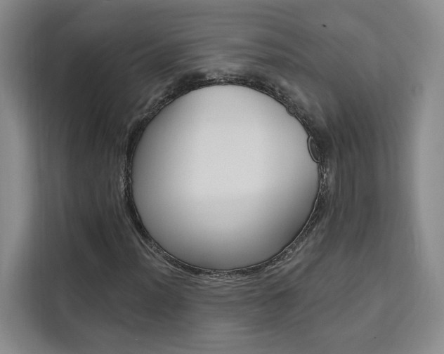 X0000111461012200907131214
