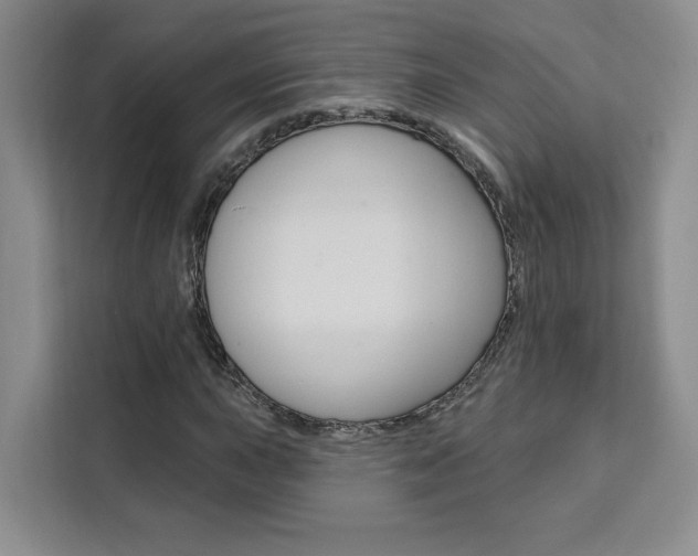 X0000111461015200907131214
