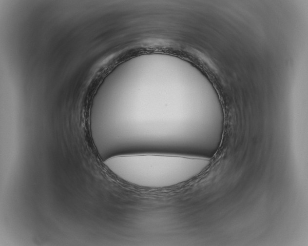 X0000111461016200907131214