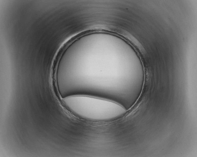 X0000111461020200907131214
