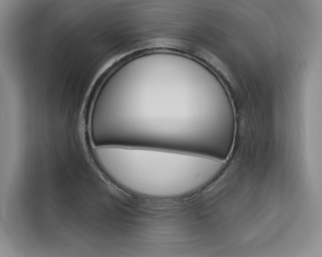 X0000111461024200907131214