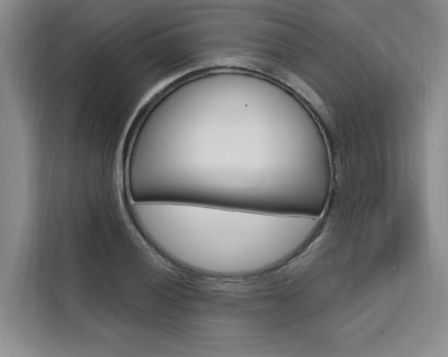 X0000111461028200907131214