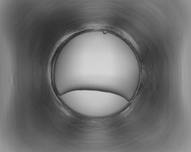 X0000111461035200907131214