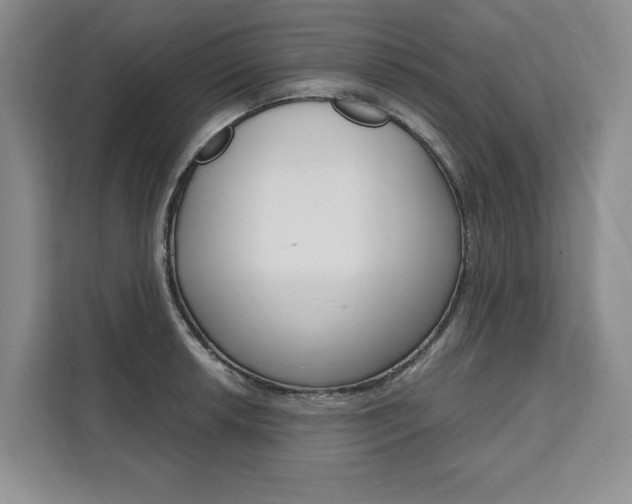 X0000111461042200907131214