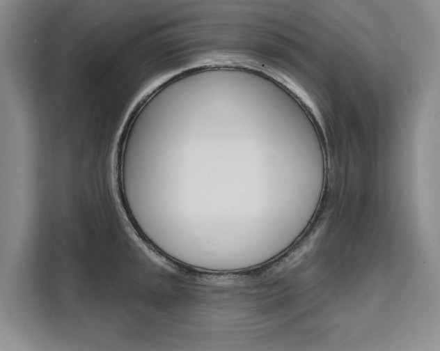 X0000111461045200907131214