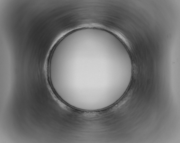 X0000111461046200907131214