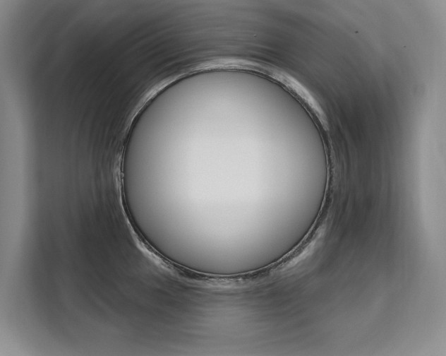 X0000111461049200907131214
