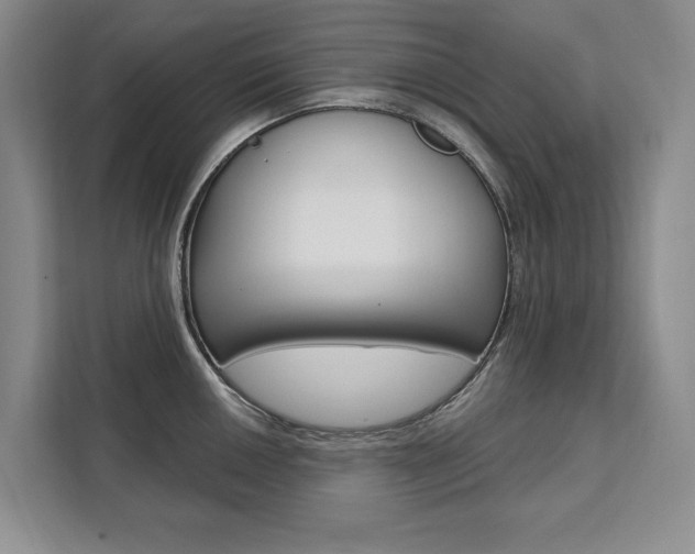 X0000111461050200907131214