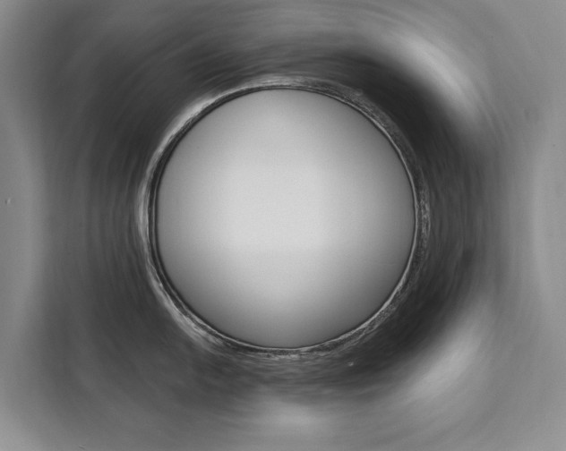 X0000111461054200907131214