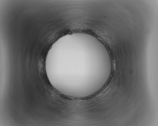 X0000111461059200907131214