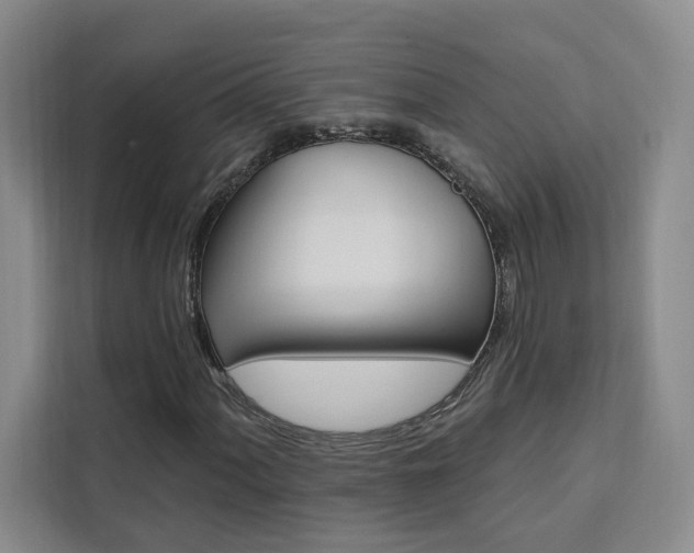 X0000111461060200907131214