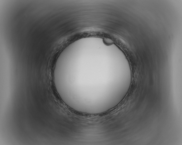 X0000111461062200907131213