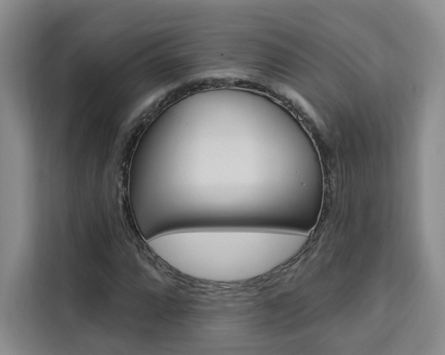 X0000111461064200907131213
