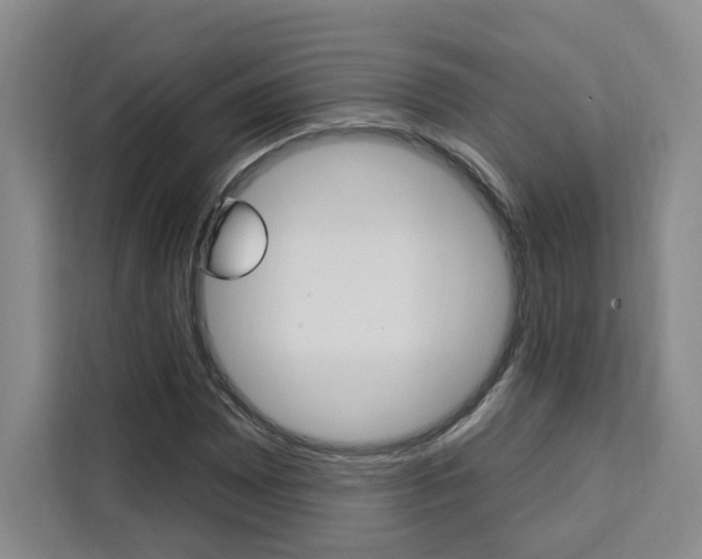 X0000111461065200907131213
