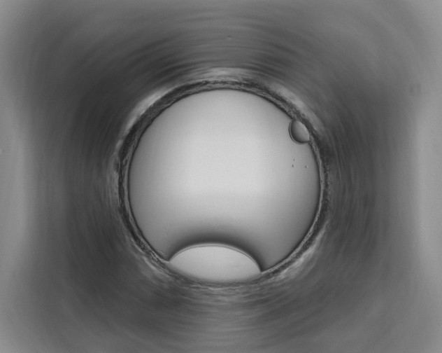X0000111461066200907131213