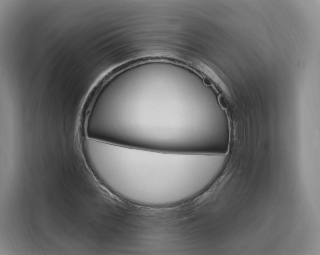 X0000111461068200907131213