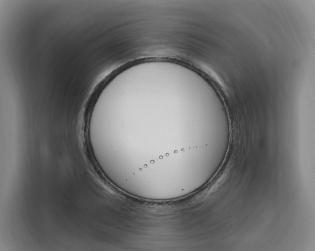 X0000111461071200907131213